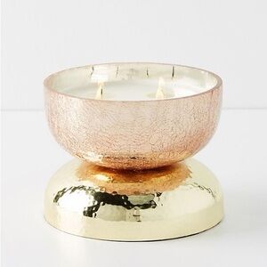 NWT Anthropologie Apple Spice Candle